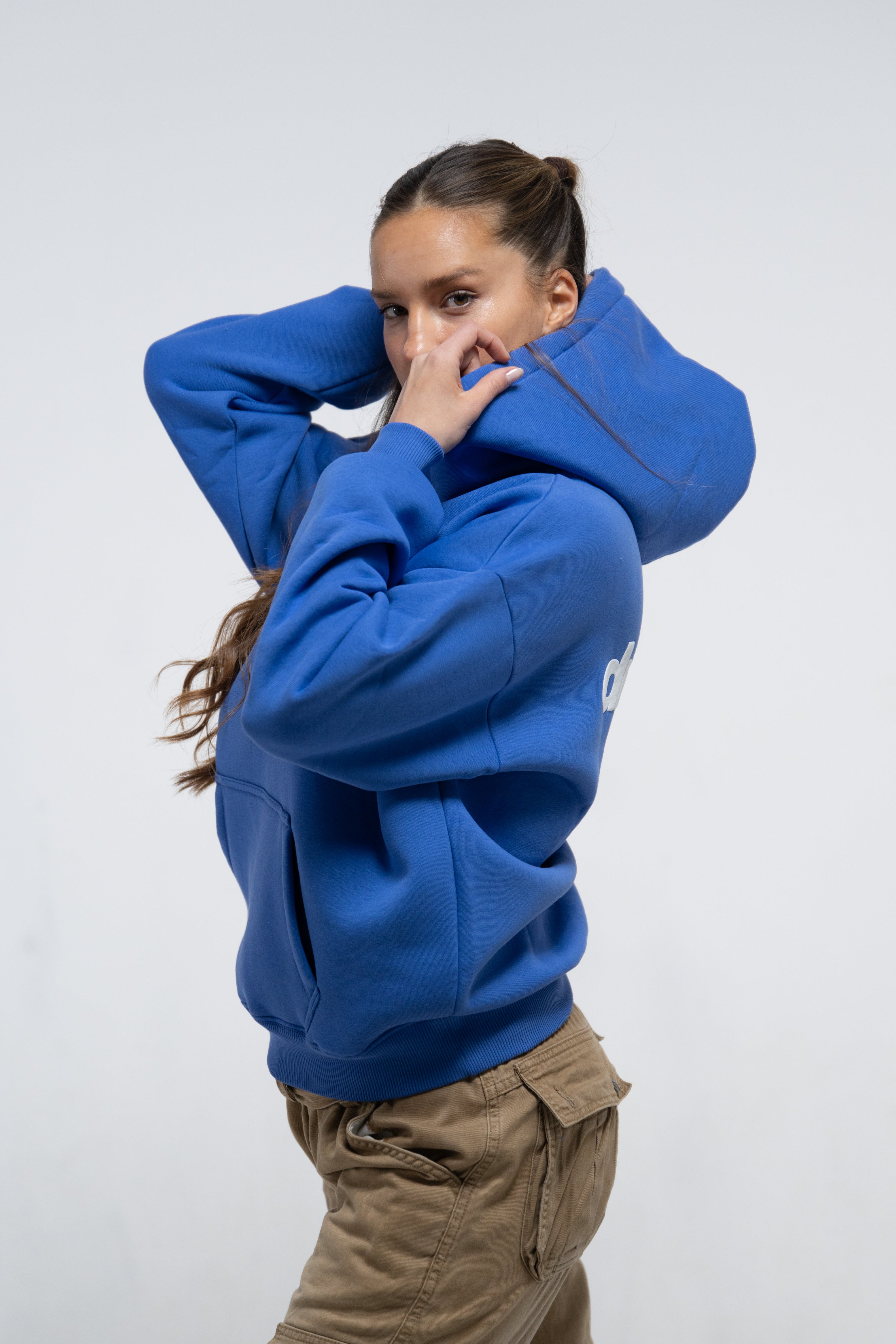 Logo Hoodie (Blue)